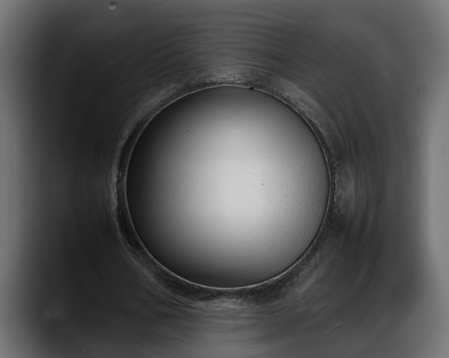 X0000088360578200705291309