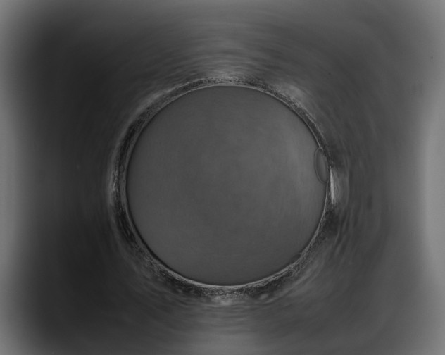 X0000088360579200705291309