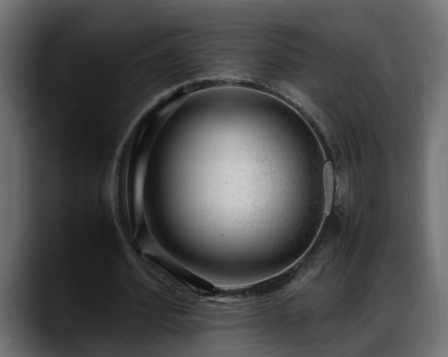 X0000088360580200705291309