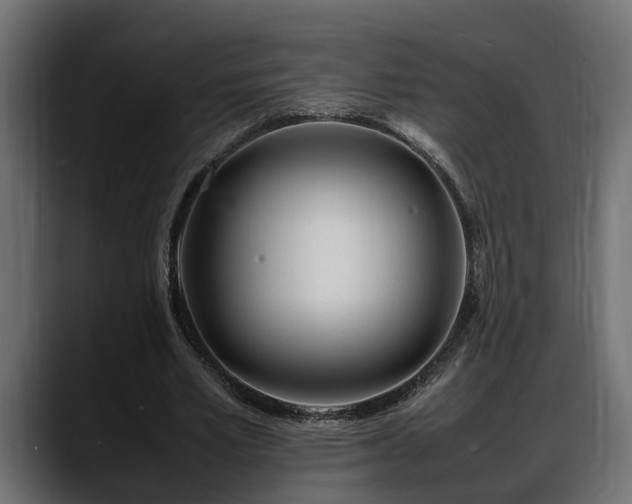 X0000088360581200705291309