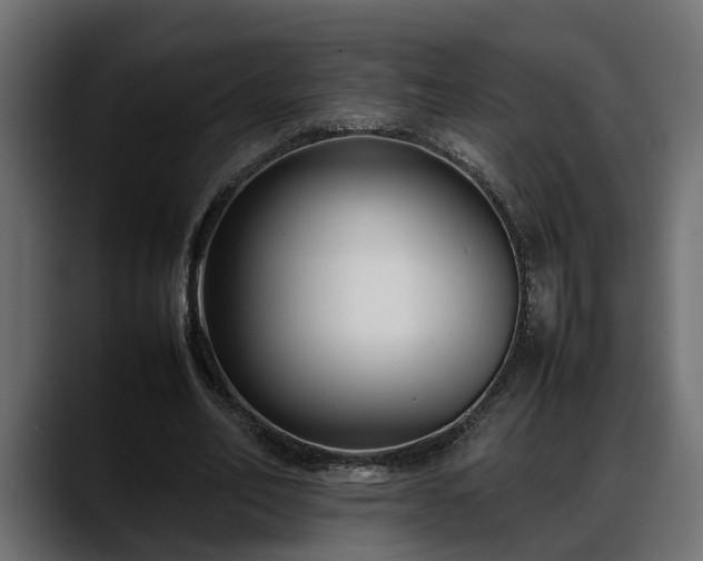 X0000088360582200705291309