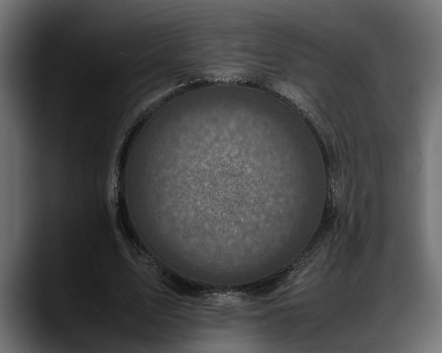 X0000088360583200705291309