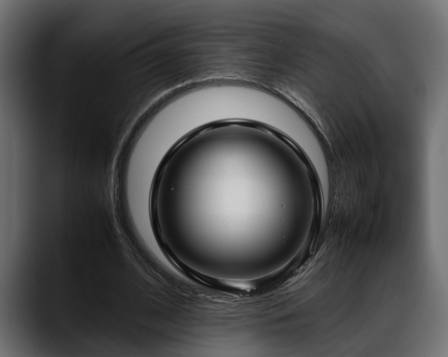 X0000088360584200705291309