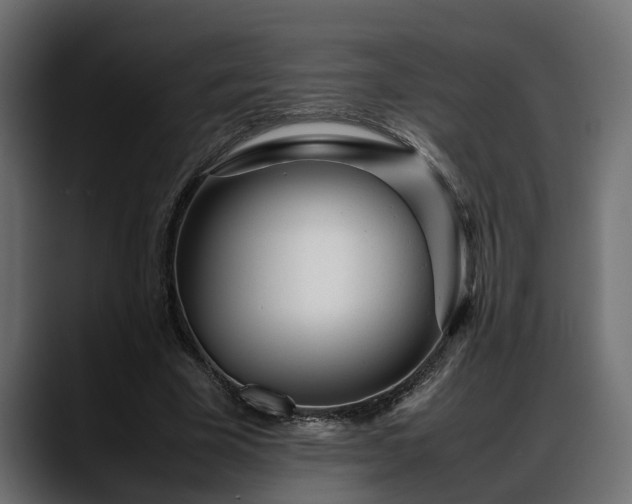 X0000088360585200705291309