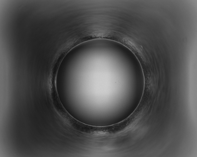 X0000088360586200705291309