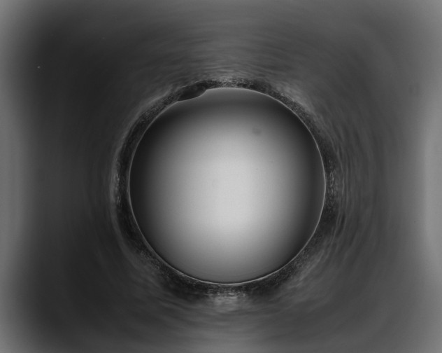 X0000088360587200705291309