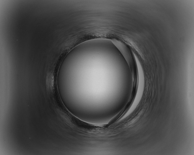 X0000088360589200705291309