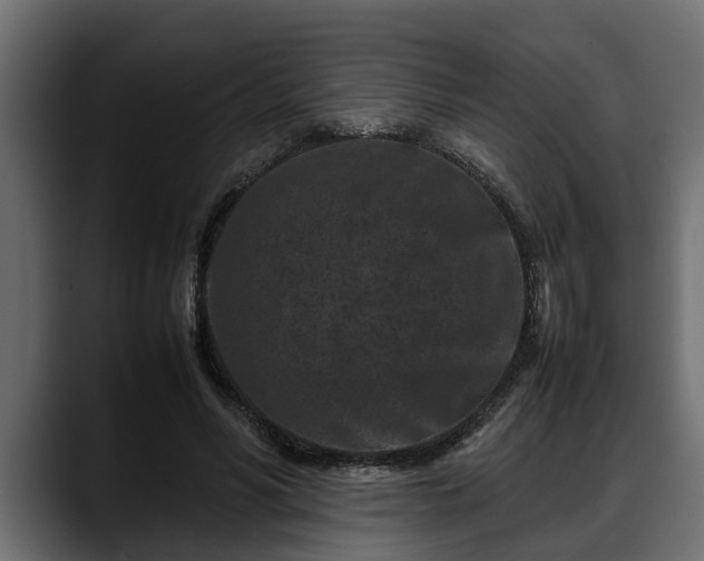 X0000088360590200705291309