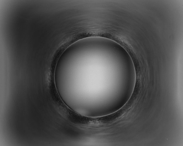 X0000088360591200705291309