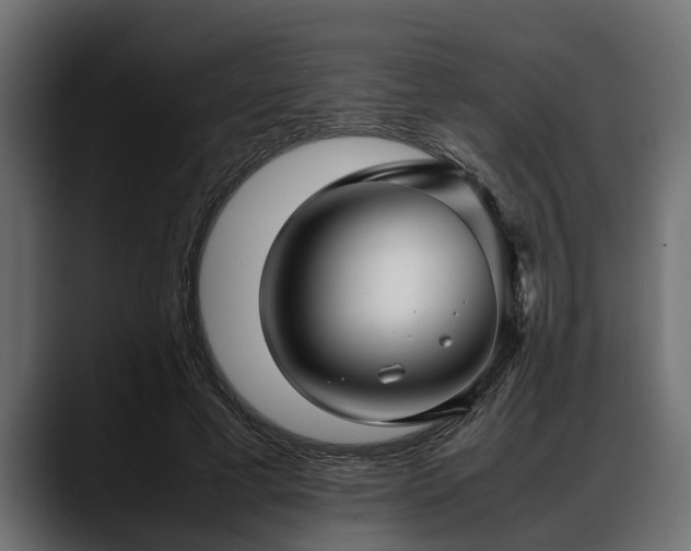 X0000088360593200705291309