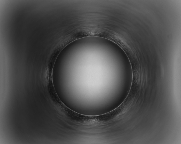 X0000088360594200705291309