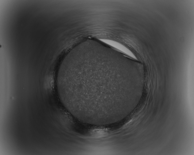 X0000088360595200705291309