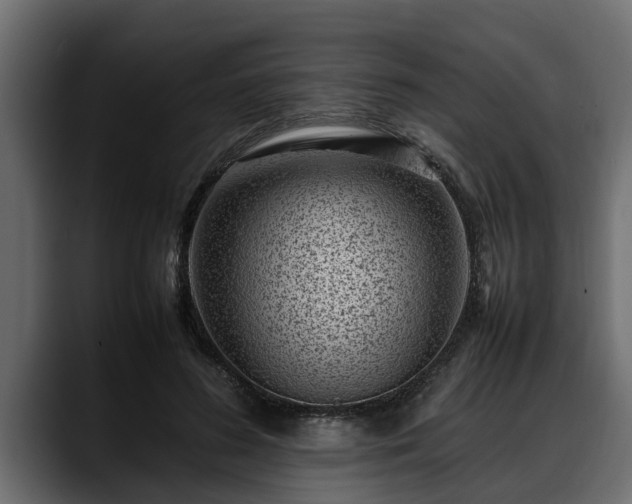 X0000088360596200705291309