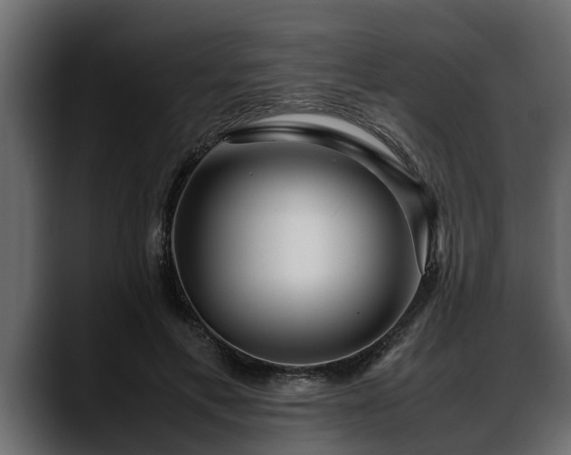 X0000088360597200705291309