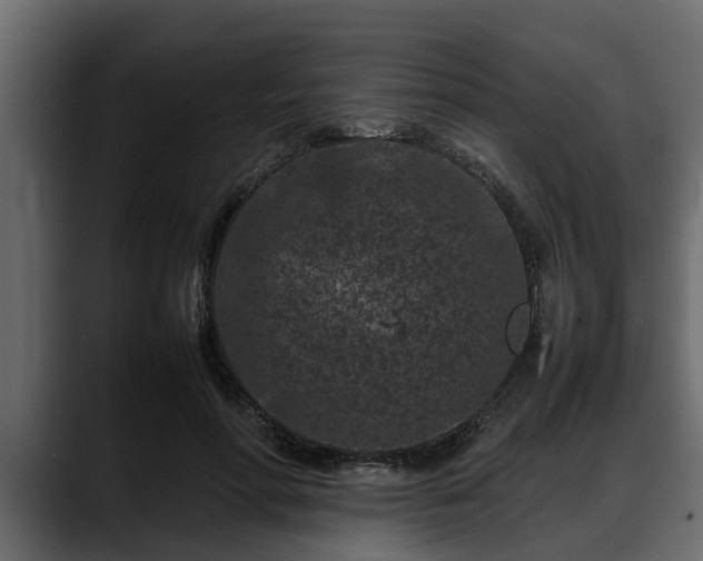 X0000088360598200705291309