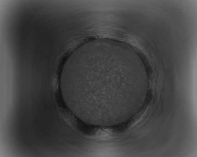 X0000088360599200705291309