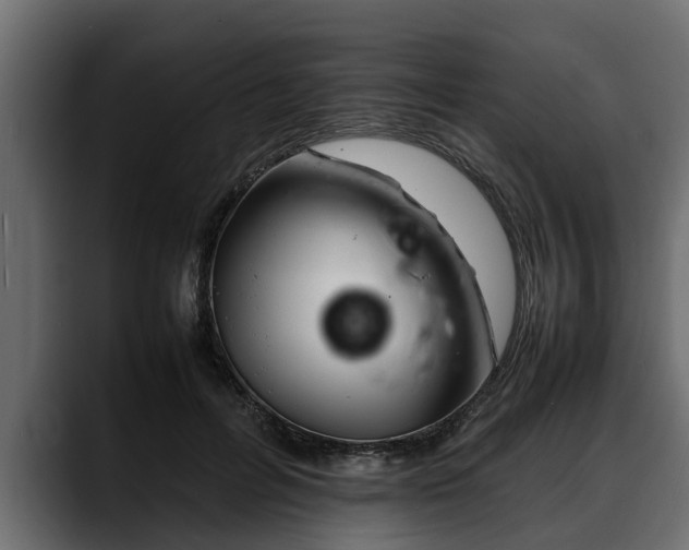 X0000088360600200705291309