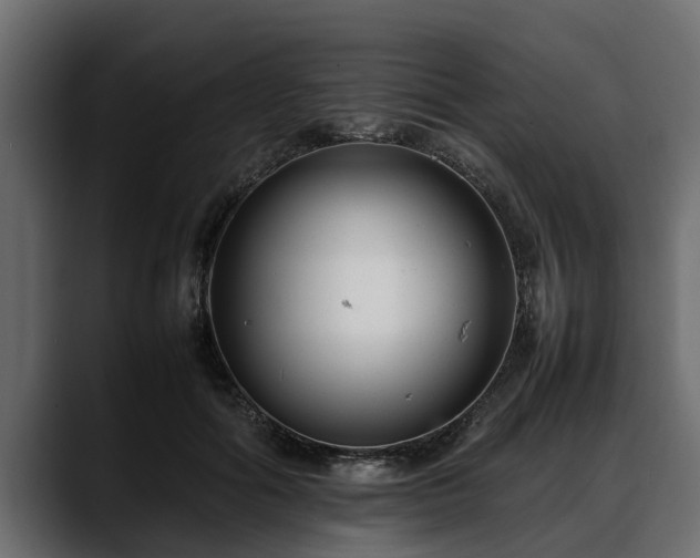 X0000088360602200705291309