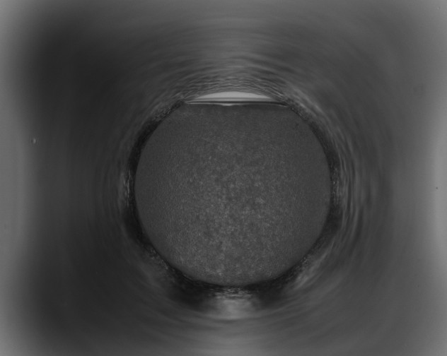 X0000088360603200705291309