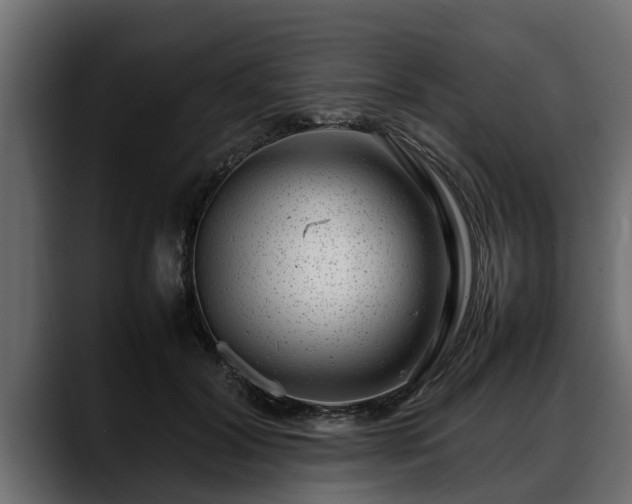 X0000088360604200705291309