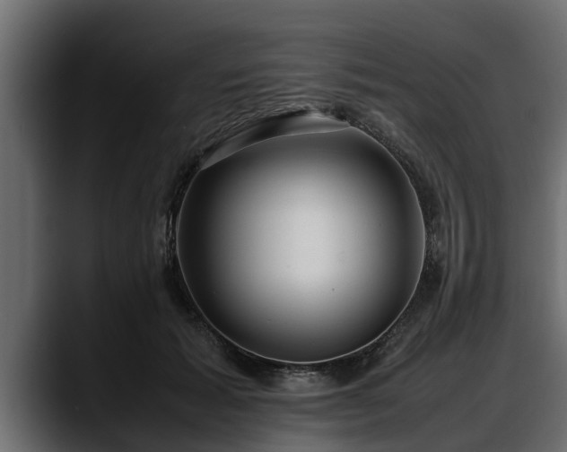 X0000088360605200705291309