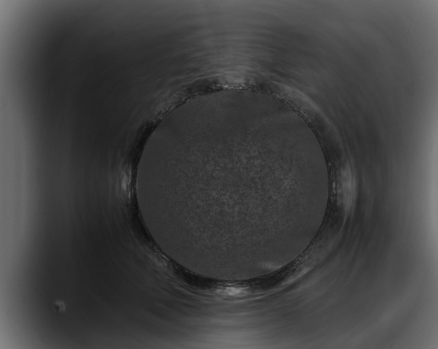 X0000088360610200705291309