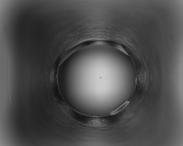 X0000088360611200705291309