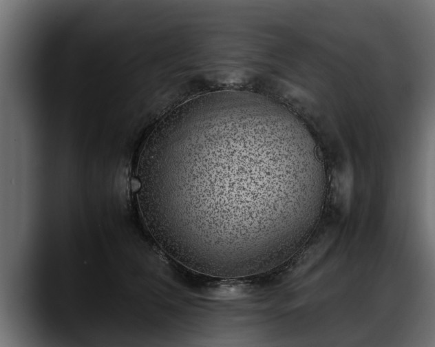 X0000088360612200705291309