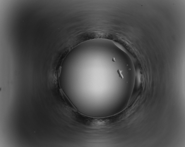 X0000088360613200705291309