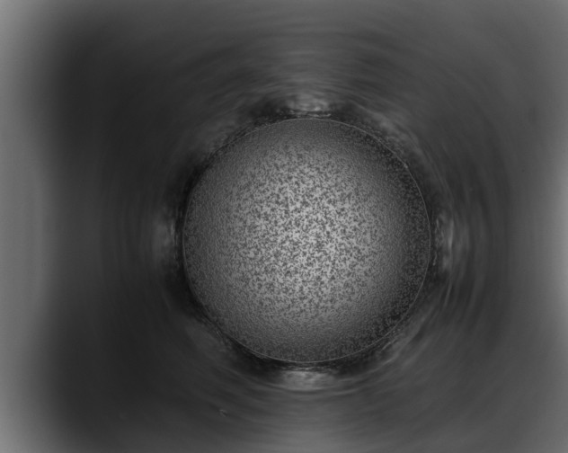 X0000088360614200705291309