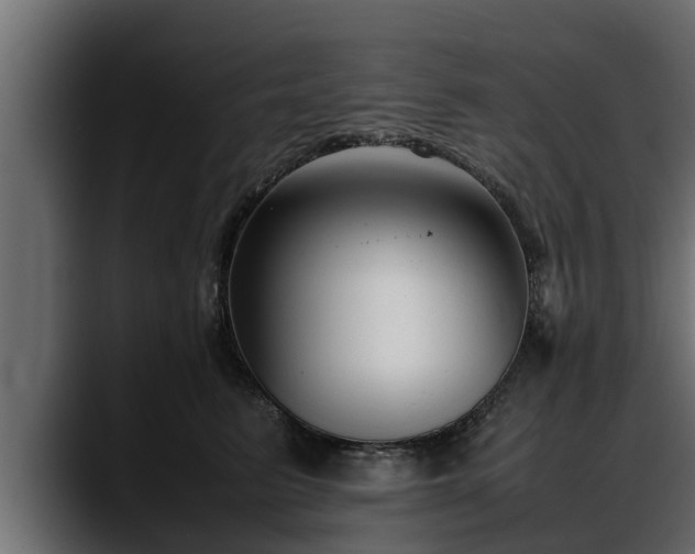 X0000088360615200705291309