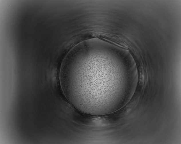 X0000088360616200705291309