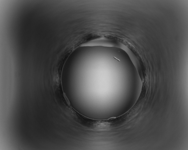 X0000088360617200705291308