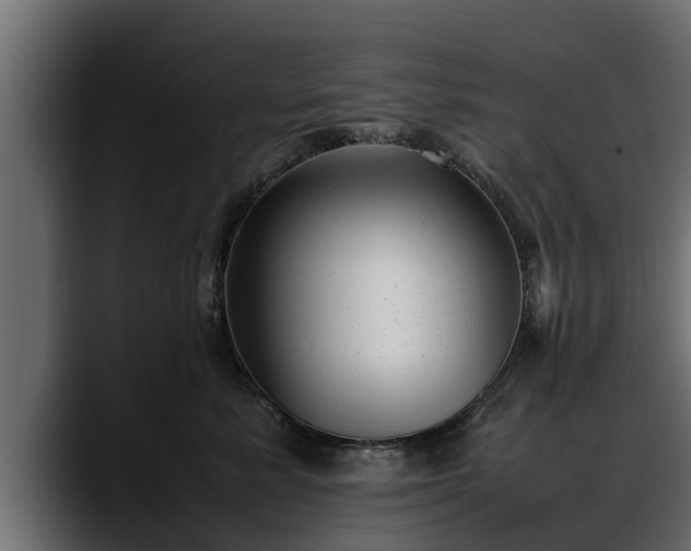 X0000088360619200705291308