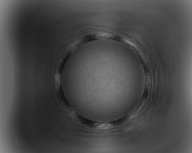 X0000088360621200705291308