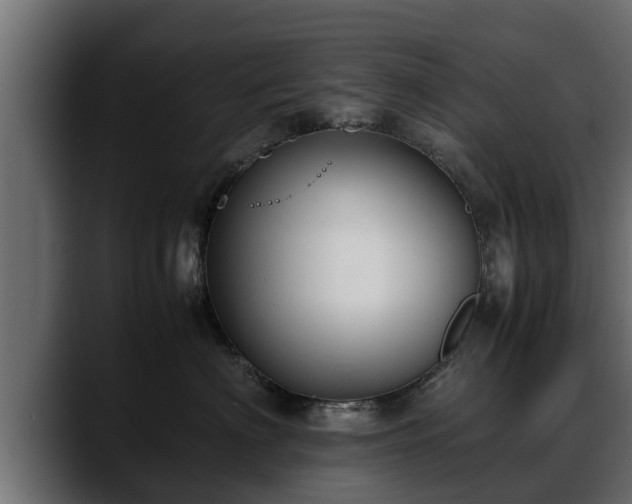 X0000088360622200705291308