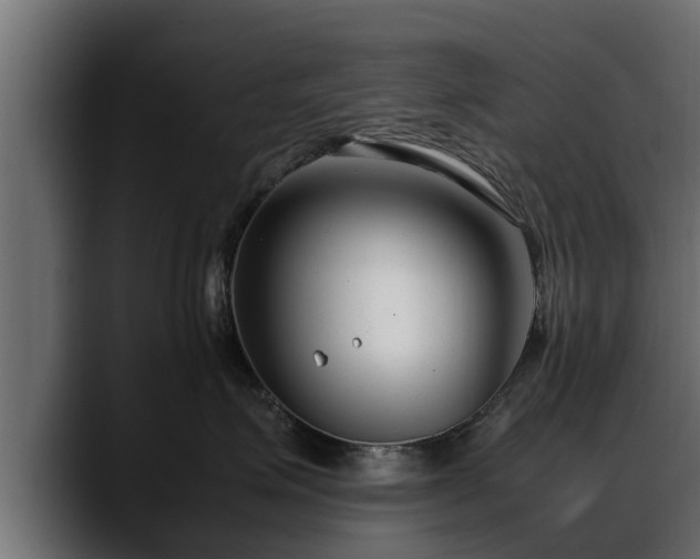 X0000088360623200705291308