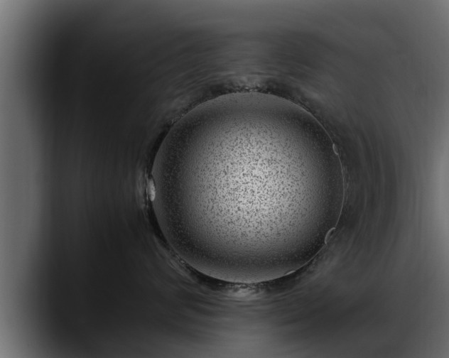 X0000088360624200705291308