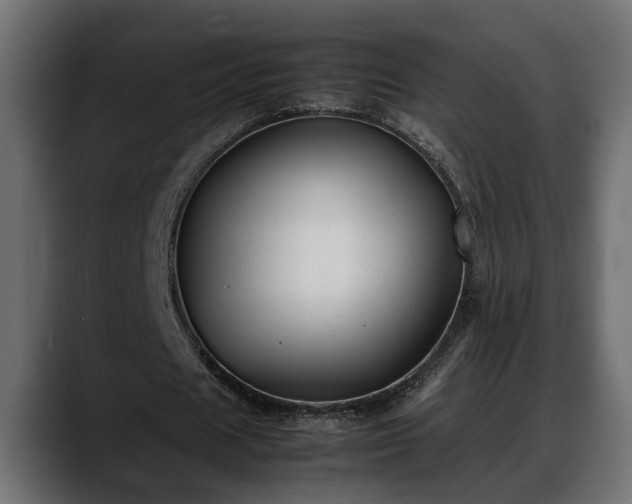 X0000088360625200705291308