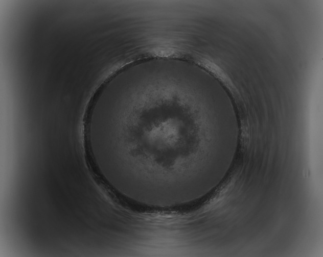 X0000088360626200705291308