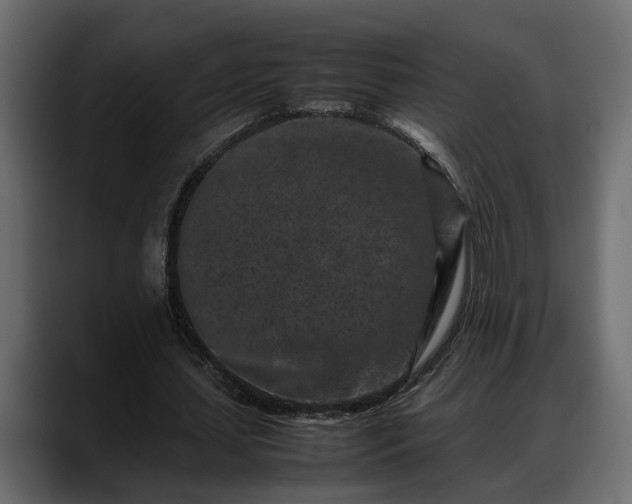 X0000088360627200705291308