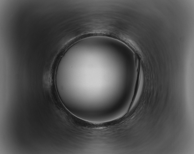 X0000088360628200705291308