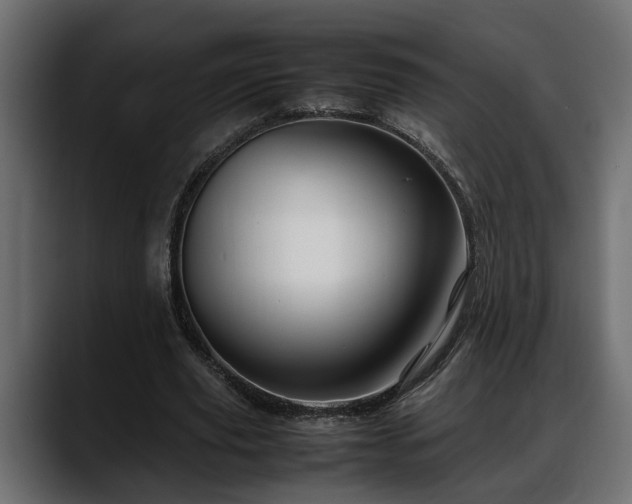 X0000088360629200705291308