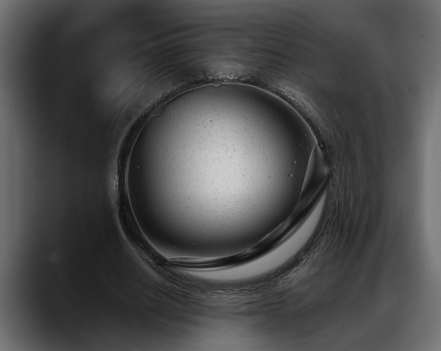 X0000088360630200705291308