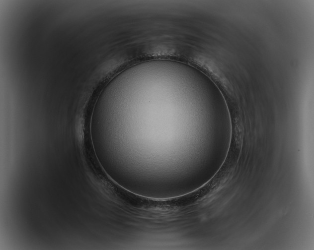 X0000088360631200705291308