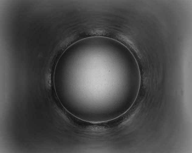 X0000088360633200705291308