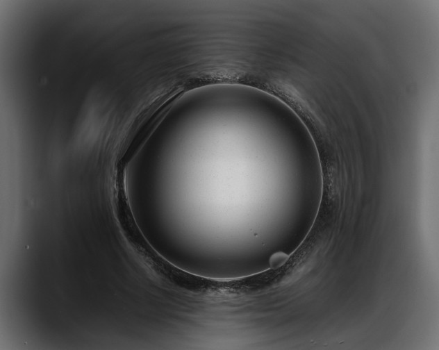 X0000088360634200705291308