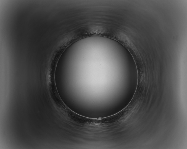 X0000088360635200705291308