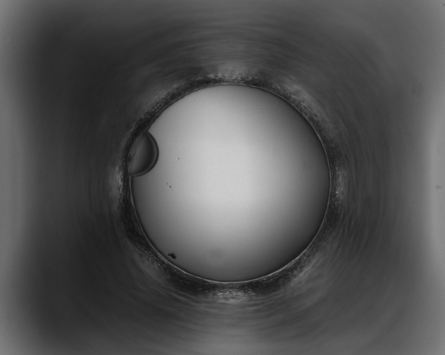 X0000088360636200705291308