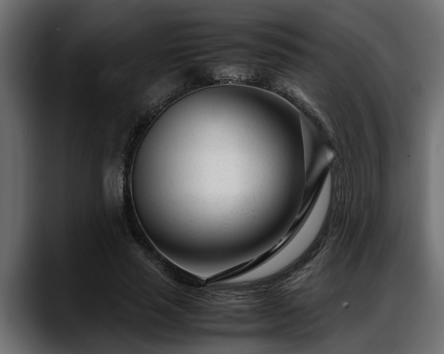 X0000088360637200705291308